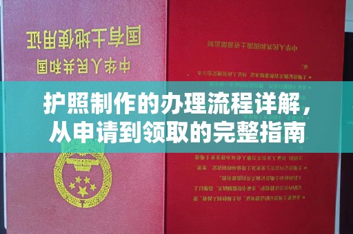 阿拉尔护照制作的办理流程详解，从申请到领取的完整指南