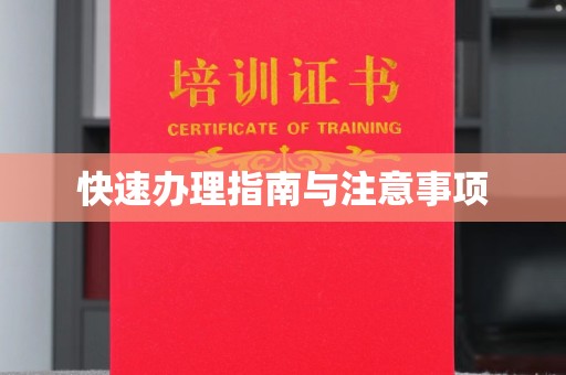 光泽快速办理指南与注意事项